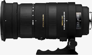 The SIGMA APO 50-500mm F4.5-6.3 DG OS HSM lens. Photo provided by Sigma Corp. Click for a bigger picture!