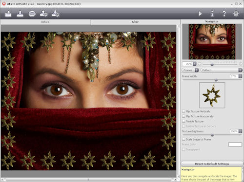 AKVIS Software's ArtSuite 5.0. Screenshot provided by AKVIS Software Inc. Click for a bigger picture!