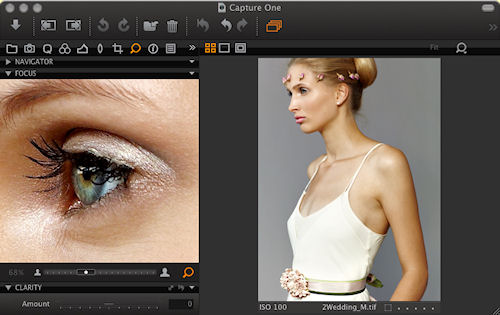 The Focus tool in Capture One 5.1 PRO. Screenshot provided by Phase One A/S. Click for a bigger picture!