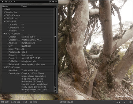 Editing metadata in Capture One 5.1 PRO. Screenshot provided by Phase One A/S.