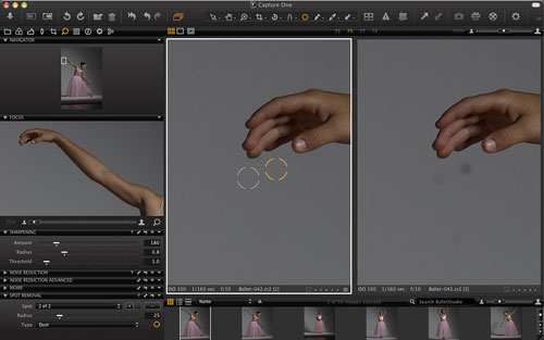 Spot removal in Capture One 6. Screenshot provided by Phase One A/S. Click for a bigger picture!