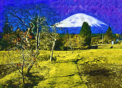 Casio Digital Art Frame - Effect Types: Fauvist Oil Painting. Photo provided by Casio America Inc. Click for a bigger picture!
