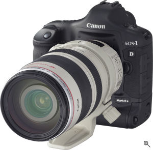 Canon's EOS-1D Mark II N digital SLR. Courtesy of Canon, with modifications by Michael R. Tomkins. Click for a bigger picture!