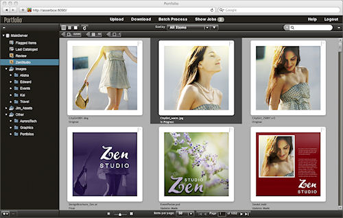 Extensis Portfolio Studio -- browsing a variety of image formats. Screenshot provided by Celartem Technology, Inc. Click for a bigger picture!