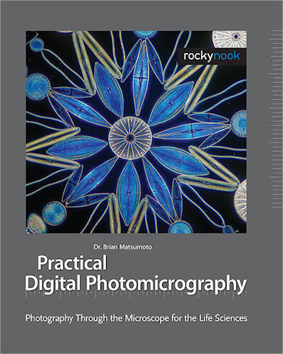 Practical Digital Photomicrography: Photography Through the Microscope for the Life Sciences, by Dr. Brian Matsumoto. Photo provided by O'Reilly Media. Click for a bigger picture!