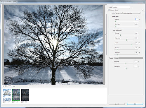 Photoshop CS5's Merge to HDR Pro dialog. Screenshot provided by Adobe Systems Inc. Click for a bigger picture!
