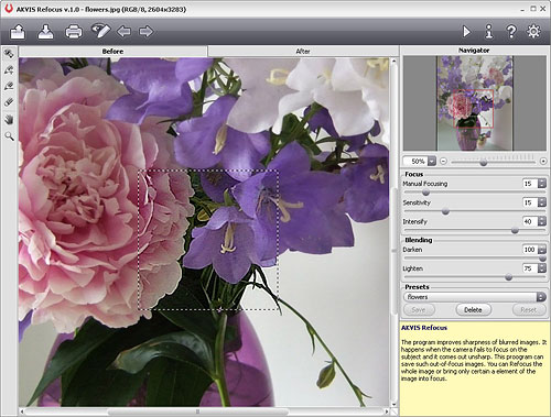 Akvis Refocus v1.0: Sharpening an image with the 'Flowers' preset. Screenshot provided by AKVIS. Click for a bigger picture!
