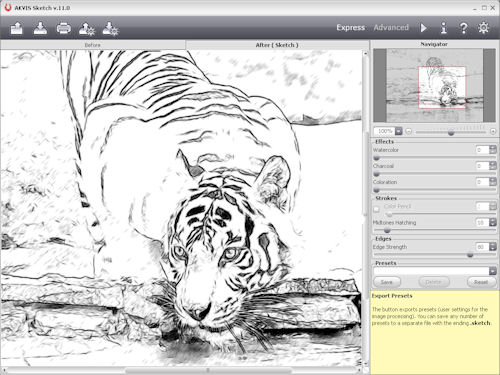 Reviewing a pencil sketch effect in AKVIS Sketch v11. Screenshot provided by AKVIS. Click for a bigger picture!