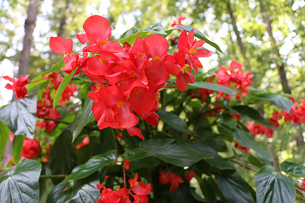 Canon 70D review -- Sample image