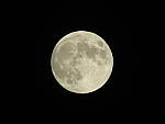 Click to see Y-SX60-4-MOON-200s.JPG