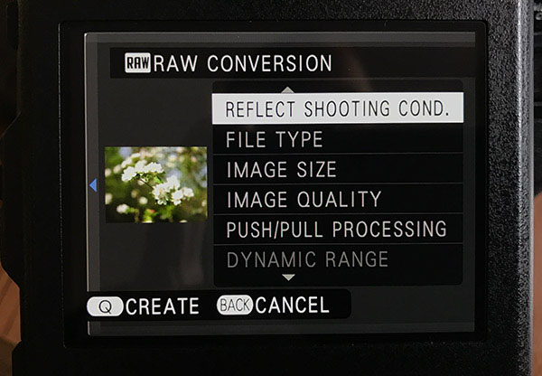 Fuji GFX Review: Field Test -- Video Frame