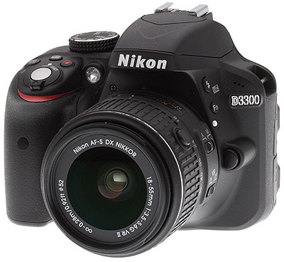 Nikon D3300 review -- beauty shot