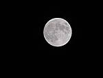 Click to see Y-P600-4-MOON.JPG
