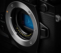 Olympus OM-D E-M1 review -- Sensor and lens mount