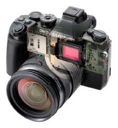 Olympus OM-D E-M1 review -- Cutaway of camera body