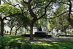 Click to see Y-DSC00023_NYC.JPG