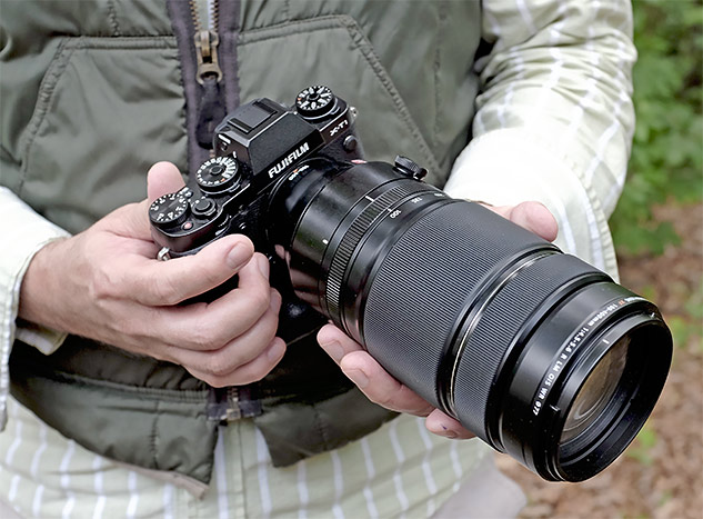 Fuji 100-400mm WR: Initial impressions and real world galleries from Fuji's first super-telephoto zoom