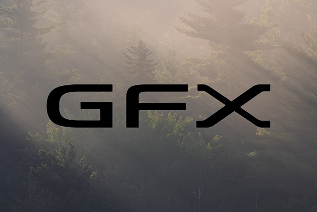 What does gfx means