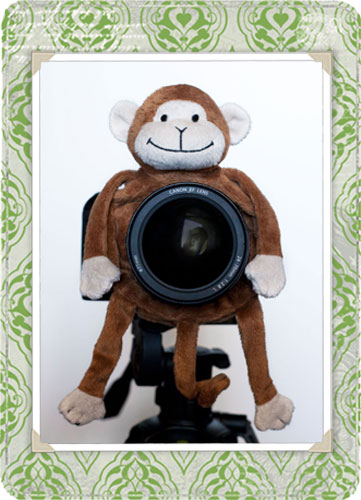 The Camera Bag: Shutter Hugger stuffed toy camera accessory for child  photography