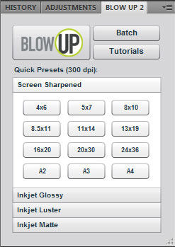 The new Startup Panel in Blow Up 2.0.3. Screenshot provided by Alien Skin Software.