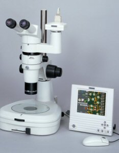 Nikon's Digital Sight DS-5Mc microscope digital camera. Courtesy of Nikon, with modifications by Michael R. Tomkins. Click for a bigger picture!