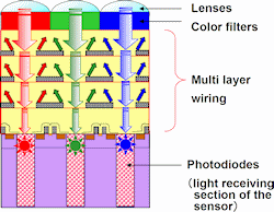 Conventional structure：FSI type (Front Side Illumination). Lenses are formed on top of the sensor, with wiring between them and the light receiving section and photodiodes. Light entering the sensor obliquely is blocked by the wires, which also reflect back some to the light that enters at right angles, degrading overall light sensitivity. Diagrams and captions provided by Toshiba Corp. Click for a bigger picture!