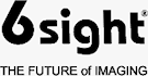 6Sight's logo. Click here to visit the 6Sight website!