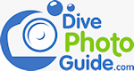 DivePhotoGuide's logo. Click here to visit the DivePhotoGuide website!