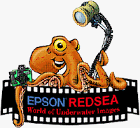 The Epson Red Sea 2009 logo. Click here to visit the Epson Red Sea 2009 website!