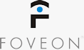 Foveon's logo. Click here to visit the Foveon website!