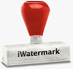 iWatermark Pro's logo. Click here to visit the Plum Amazing website!