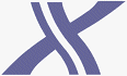 Minolta's 'X' logo. Courtesy of Minolta, with modifications by Michael R. Tomkins.