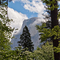 Join IR newsletter editor Mike Pasini on a visit to Yosemite, in his just-published ebook. Photo provided by Mike Pasini.