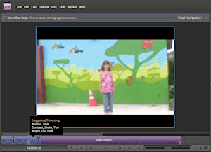 Adobe Premiere Elements 8. Screenshot provided by Adobe Systems Inc. Click for a bigger picture!