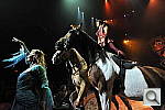 Click to see Ycircus_horses_5000.JPG