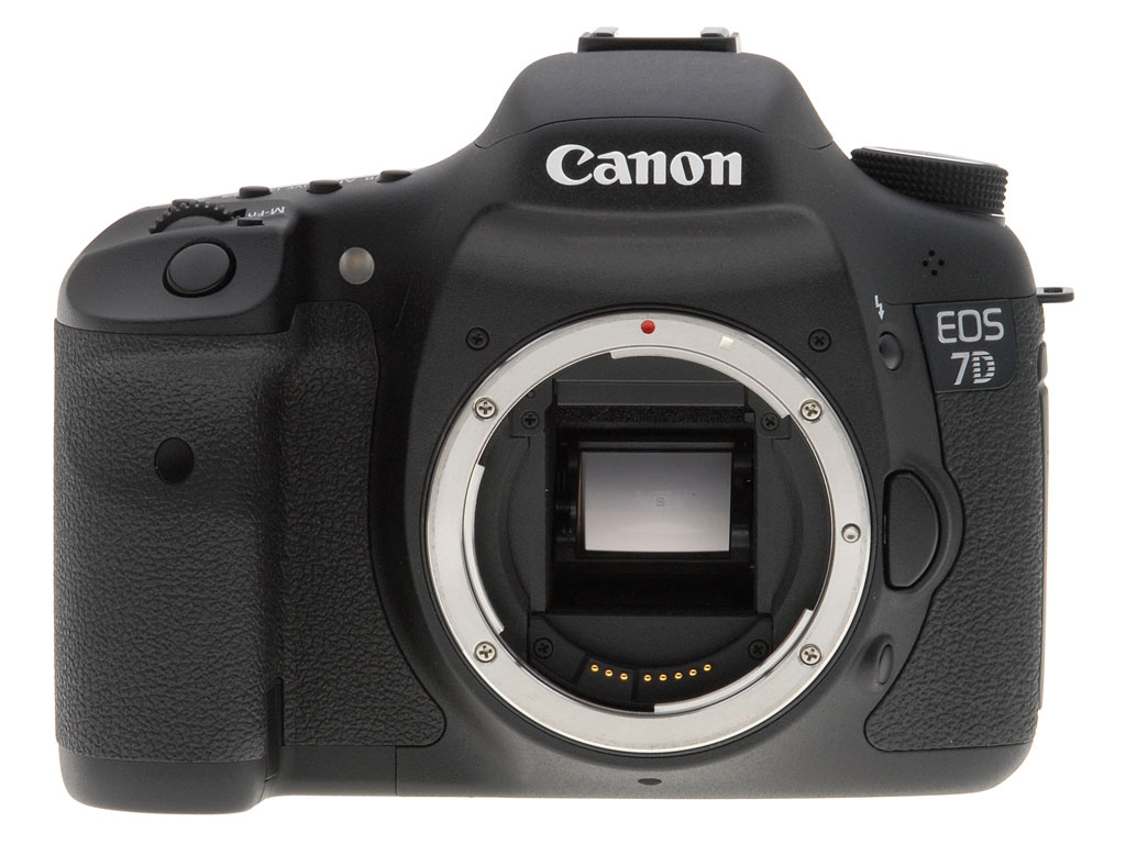 Canon 20D Review