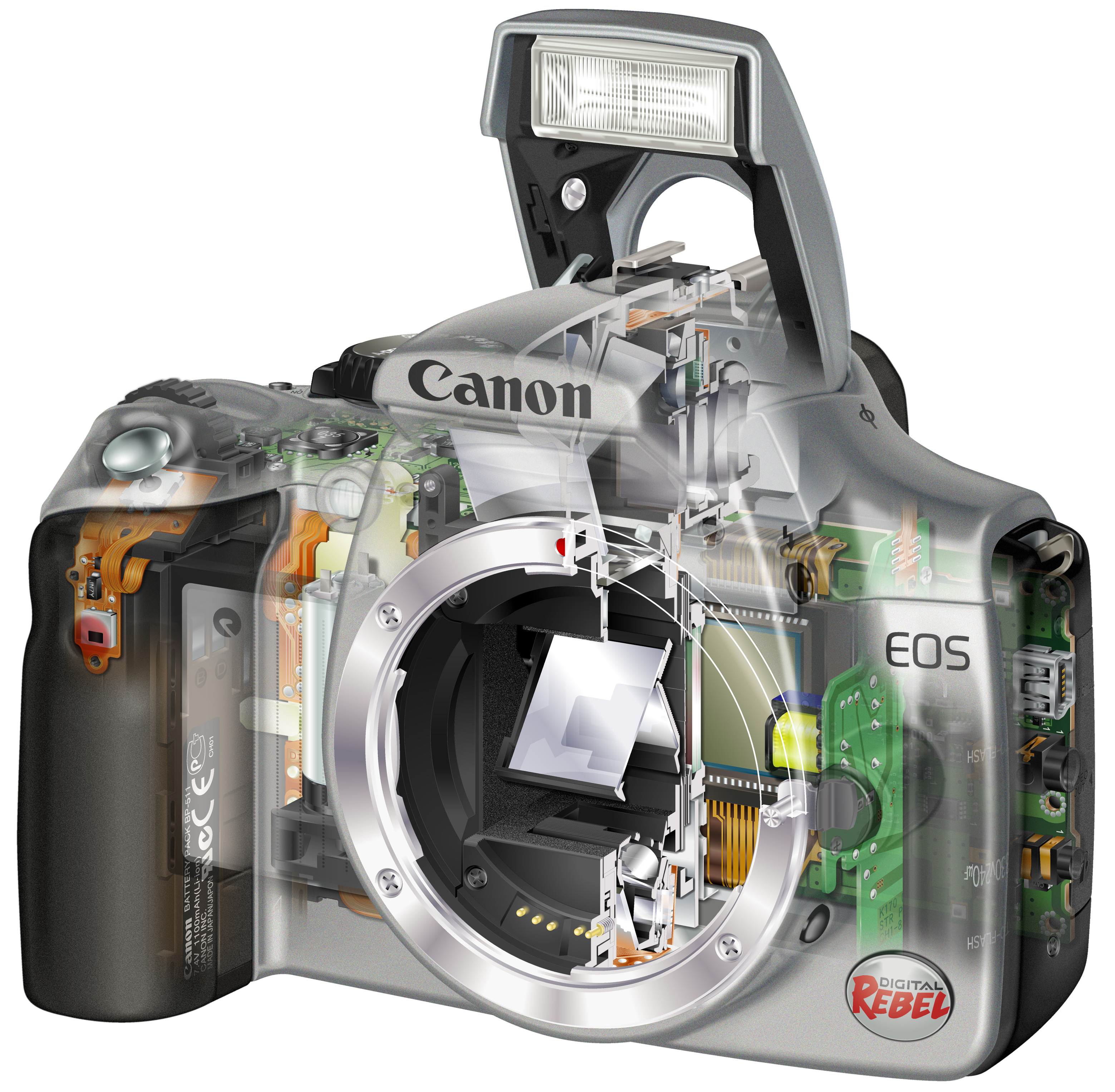 Canon EOS 10D Digital Camera Memory Card 4GB CompactFlash Memory Card 