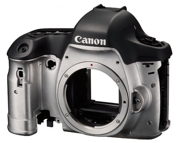 vervolging Verslagen rollen Canon 6D Review - Field Test