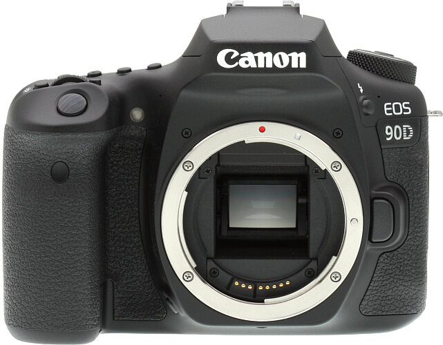 What is The Canon 90D Good For? Canon EOS 90D Review and Sample Photos