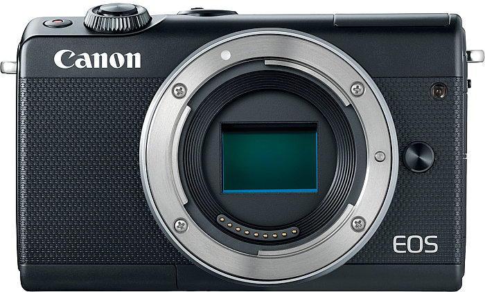 Rendition udvande solsikke Canon EOS M100 Review