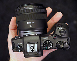 Canon EOS RP field test photo