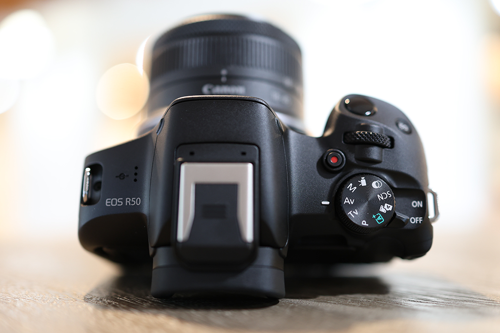 Video Review: Is the Canon R50 the Best  Starter Camera?