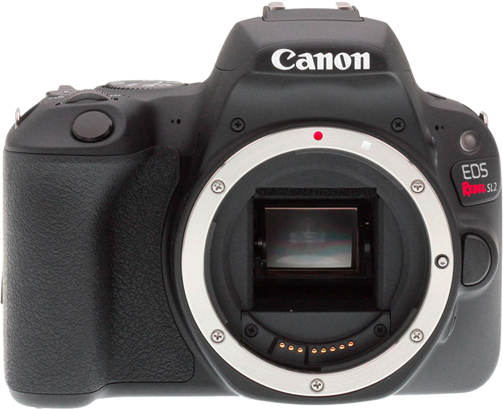 First 200. Canon EOS Rebel sl2. Canon EOS 200d разъемы. Кэнон ЕОС 200. Canon EOS 200d вспышка.