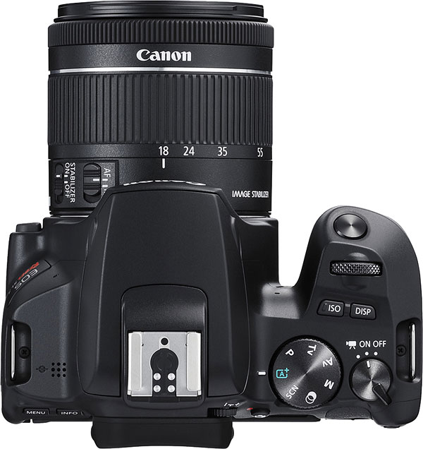 Canon SL3 Review -- Product Image