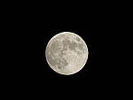 Click to see Y-SX50-4-MOON-160s.JPG