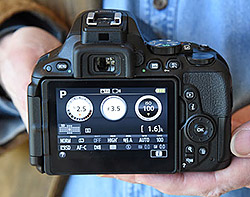Nikon D5500 tech section illustration