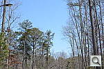 Click to see D7100PINE.JPG