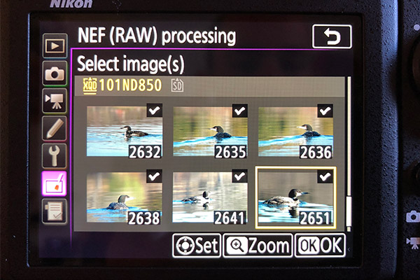 Nikon D850 Review: Field Test -- RAW processing Screenshots