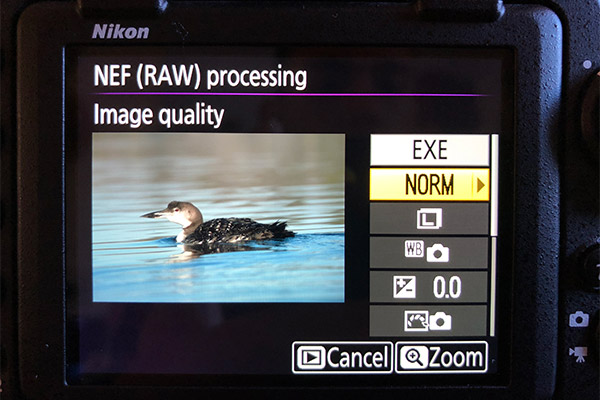 Nikon D850 Review: Field Test -- RAW processing Screenshots