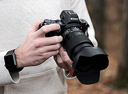 Nikon Z6 field test photo